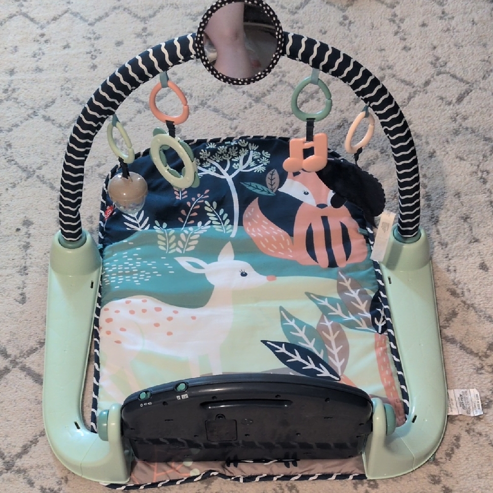 Fisher-Price Forest Friends Play Gym - Mint and Black